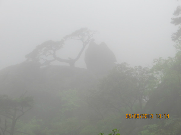 大霧與大雨的交織，自然的神秘面紗探索