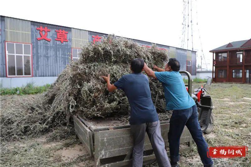 留學姑娘回村創(chuàng)業(yè)，年銷售額達2500萬，鄉(xiāng)村創(chuàng)業(yè)新典范