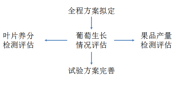 2024天天彩正版資料大全，可行性方案評(píng)估_WP版3.53.29