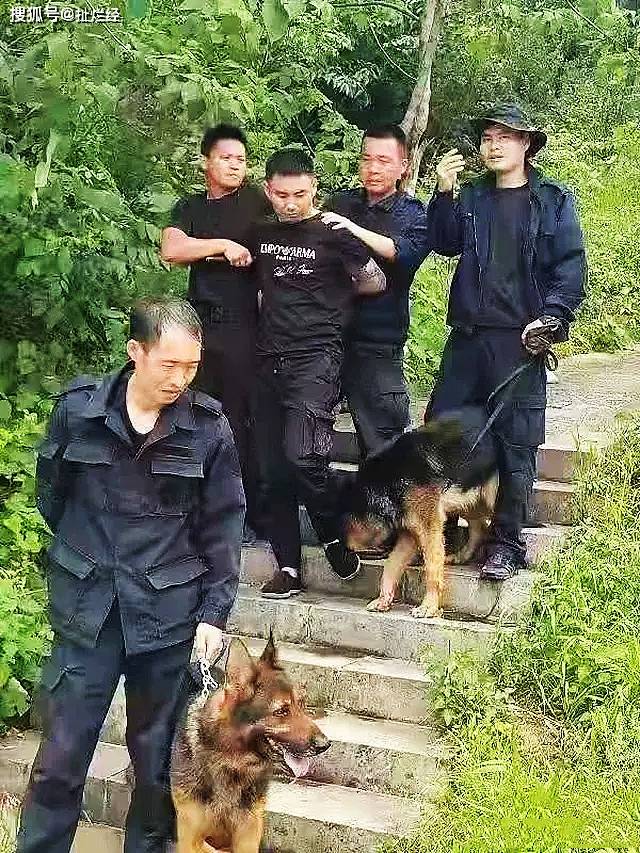 義烏警方回應(yīng)凝視獨(dú)居女子視頻事件，擺拍背后的真相深度解析