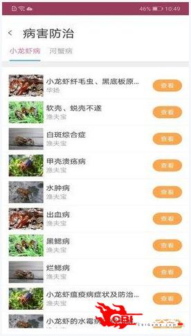 588惠澤天下免費(fèi)資料大全，實(shí)地計(jì)劃設(shè)計(jì)驗(yàn)證_Deluxe82.10.9