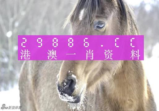 澳門精準(zhǔn)一肖一碼100%，廣泛方法解析說明_網(wǎng)頁款94.30.24