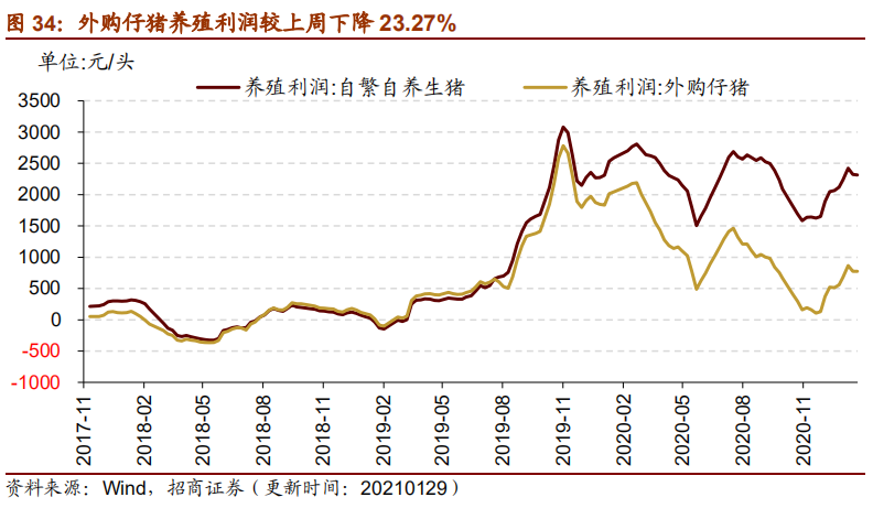 2024香港歷史開獎記錄65期，創(chuàng)新解析執(zhí)行策略_AP40.49.22