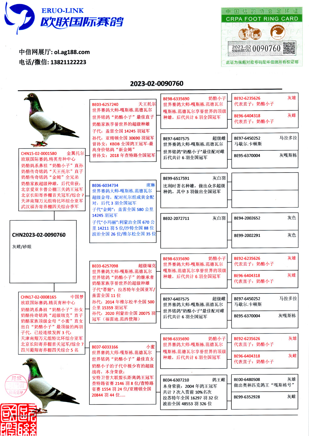 “精準(zhǔn)一肖一碼揭秘：子中特7955，時(shí)代資料解讀與白銀版JRC65.99詳解”