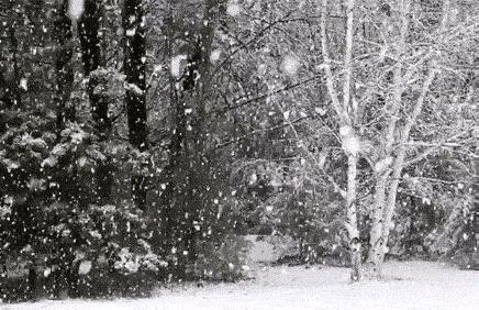 氣候異常引發(fā)暴雨大暴雪罕見同框，挑戰(zhàn)與真相探索