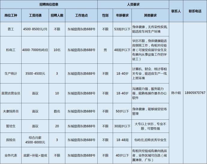 龍巖最新招聘信息與就業(yè)市場深度解析及動態(tài)分析