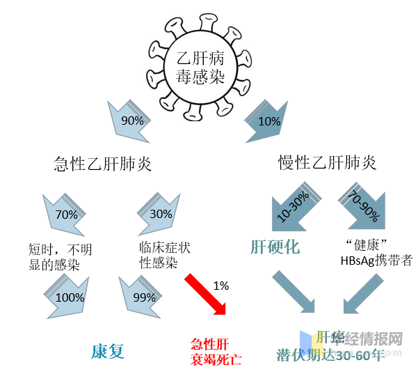 乙肝研究新突破，治療與預(yù)防的最新進(jìn)展揭秘