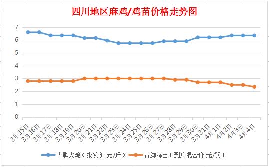 最新麻雞價格及分析概況