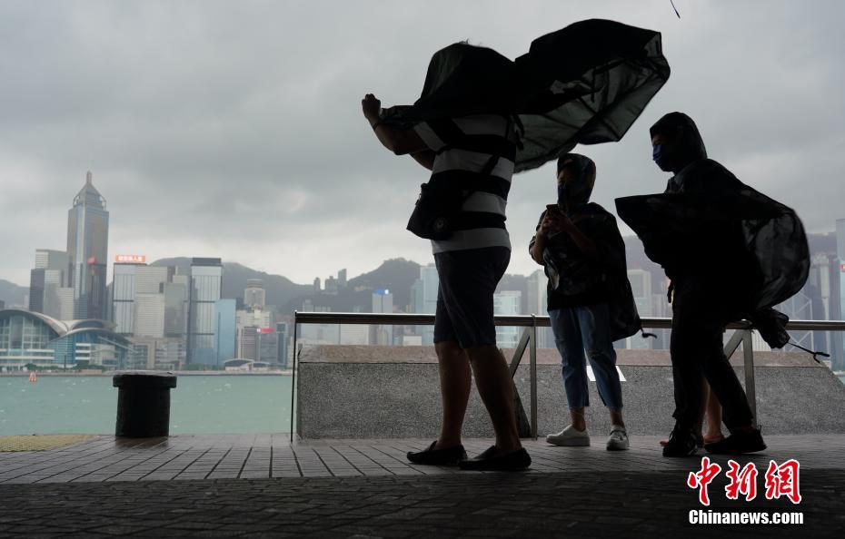 香港最新臺(tái)風(fēng)動(dòng)態(tài)與影響概述