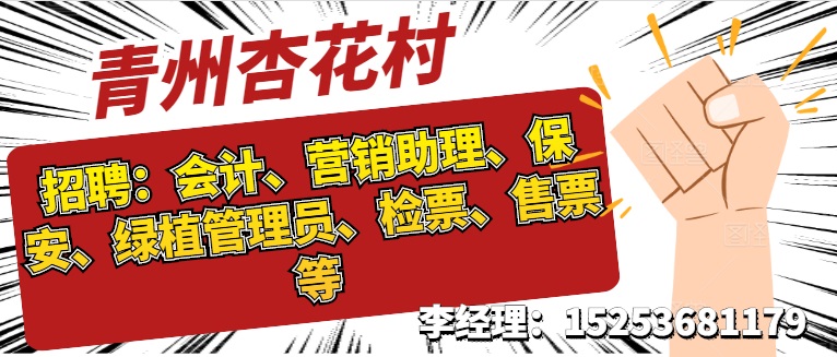 青州最新招聘信息概覽，最新青州招聘職位一覽表