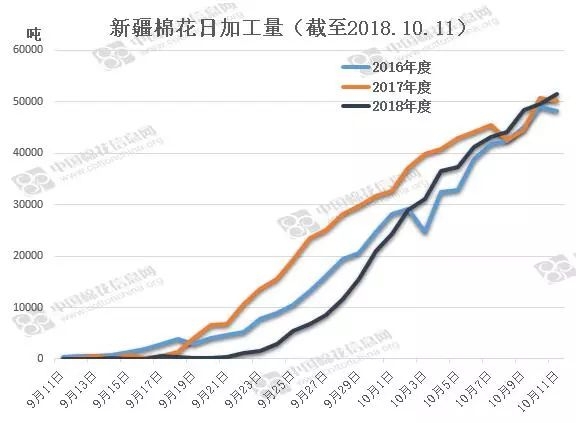 今日棉籽最新價(jià)格及動(dòng)態(tài)分析概述