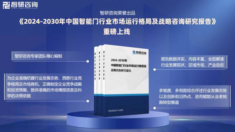 2024新奧官方正版資料免費，WZD802.89適中方案詳解