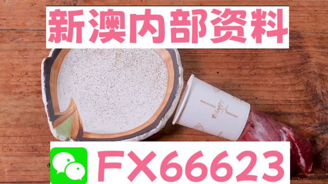 免費(fèi)獲取新澳精準(zhǔn)資料，CEN672.22中級(jí)版動(dòng)態(tài)詞匯解析