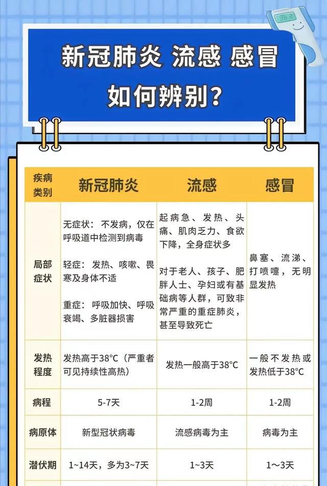 2024年11月新冠高峰期,珍寶詞語解析_盛李豪VST24.4.49