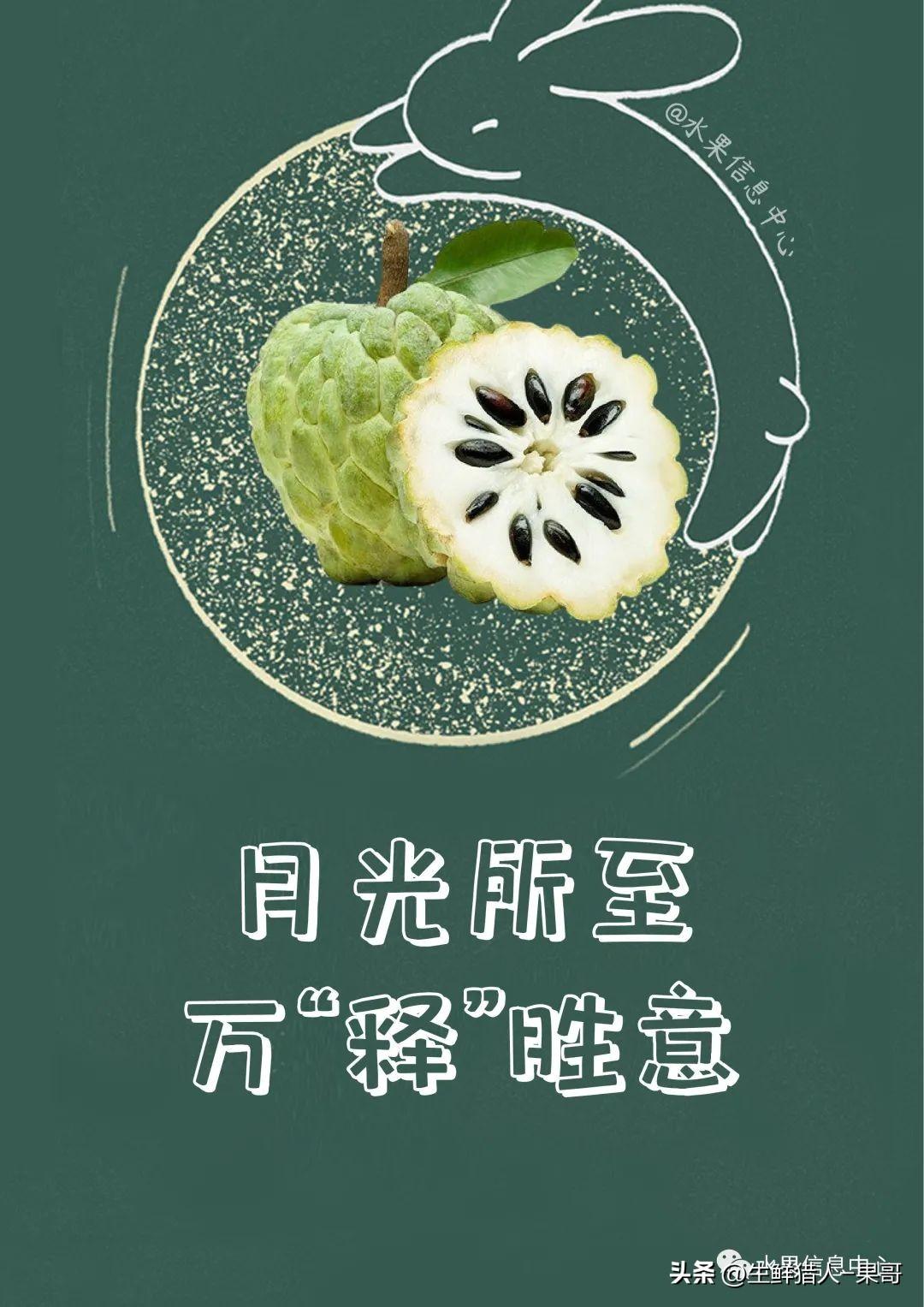 果哥最新