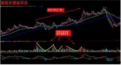 澳門頂級精準(zhǔn)龍門解析，尊貴解讀詳盡版_VUY7.13.86極致版