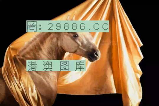 7777788888王中王跑狗圖,實踐調(diào)查說明_GEP98.793官方版