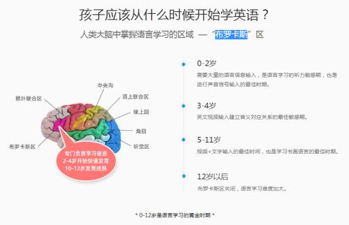 2024年正版資料免費大全亮點,精準分析實踐_UTC77.419輕奢版