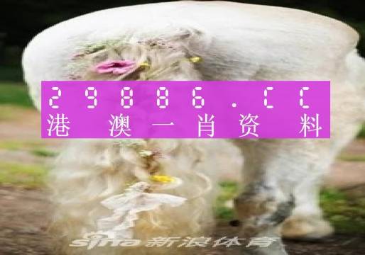 澳門一肖一碼一特一中247,實(shí)踐調(diào)查說(shuō)明_YPX23.771共享版