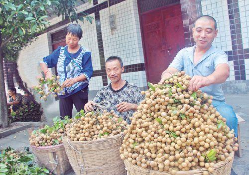 四川瀘州最新新聞報(bào)道匯總