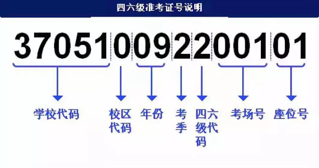 55123澳門開獎結(jié)果查詢,快速解答方案設(shè)計_ZTM23.817多功能版