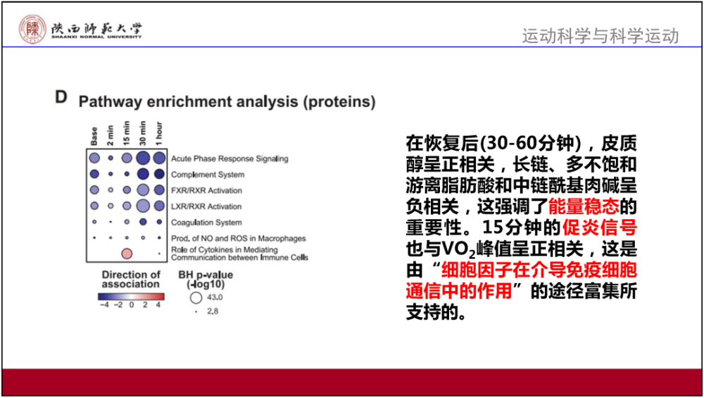 新澳門資料免費(fèi)更新,全面性解釋說明_觸控版QWR13.42