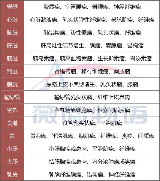 2024澳門鬼谷子正版資料,社會責(zé)任實施_原創(chuàng)性版OSW13.3