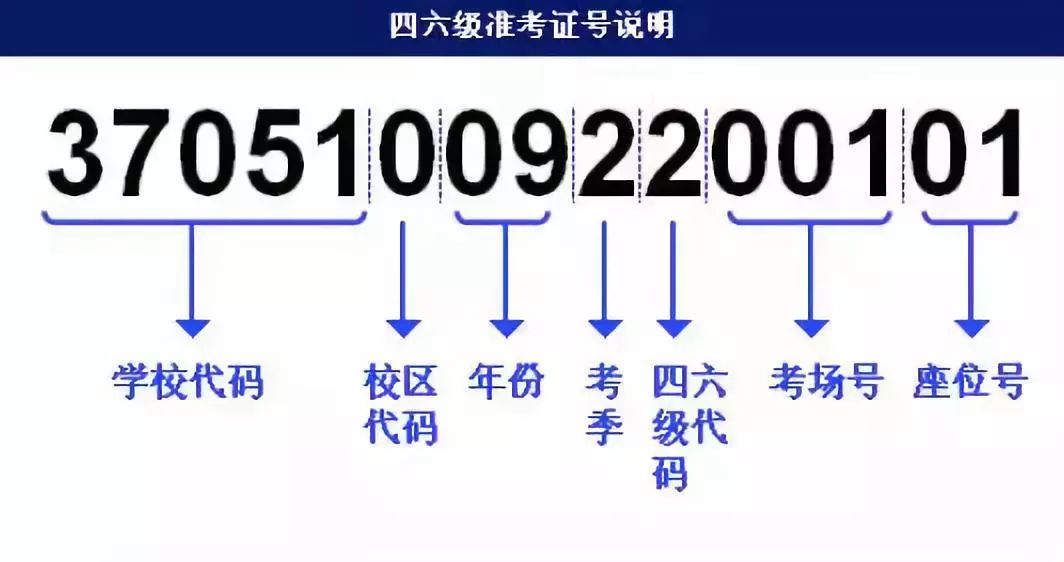 2024澳門天天六開,快速解答方案設(shè)計(jì)_QJY19.347智慧共享版