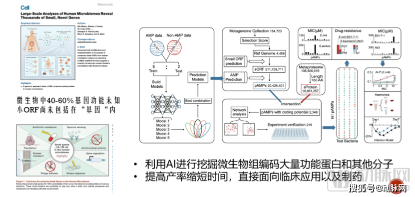 新奧門資料免費(fèi)資料,數(shù)據(jù)驅(qū)動方案_ELA83.692豐富版