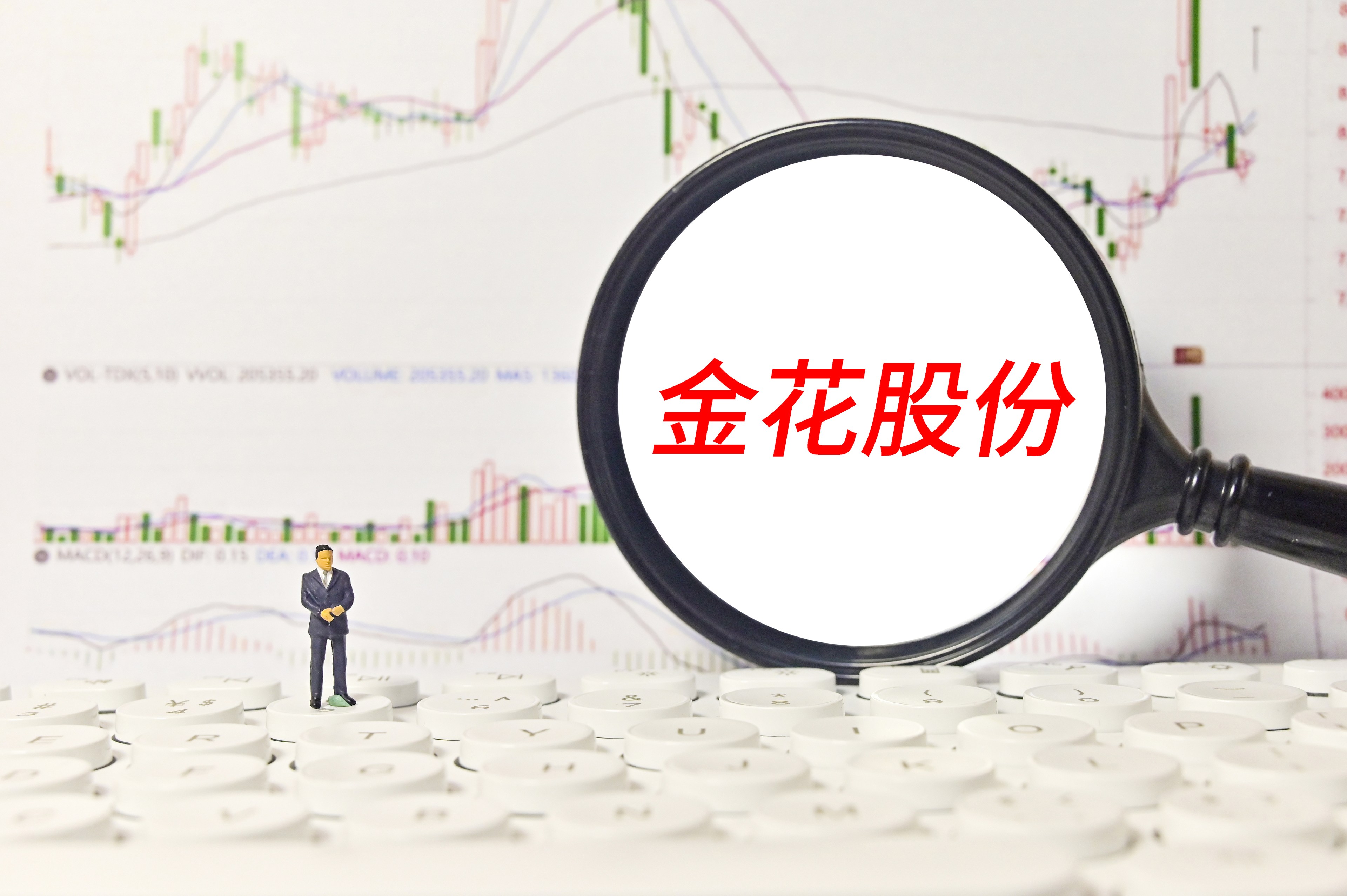 金花股份最新動態(tài)全面解析