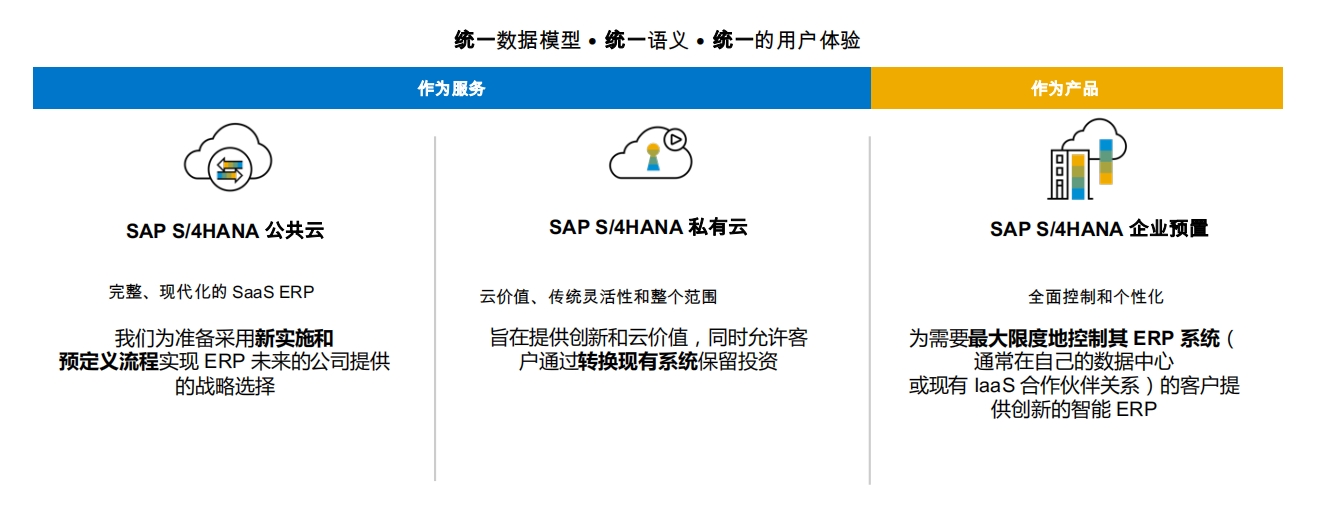 SAP最新版本，引領(lǐng)企業(yè)數(shù)字化轉(zhuǎn)型的新引擎