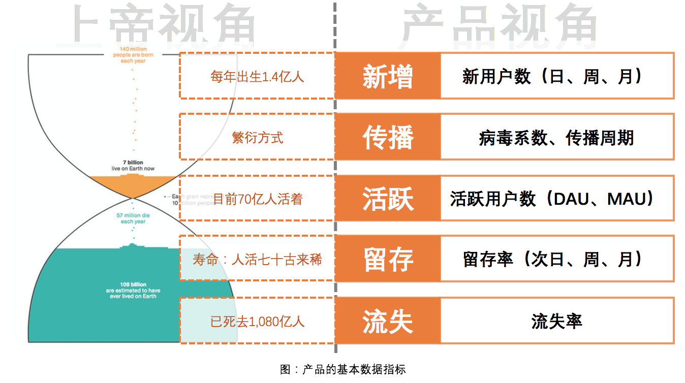 新奧免費(fèi)料全年公開,全面數(shù)據(jù)分析_RHA77.767樂享版