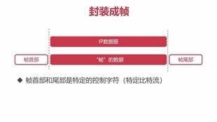 管家婆新澳門資料論壇,數據分析計劃_PWG77.555養(yǎng)生版