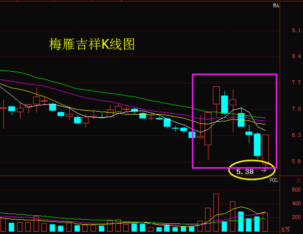 梅雁吉祥蓄勢待發(fā)，共創(chuàng)美好未來，最新消息概覽