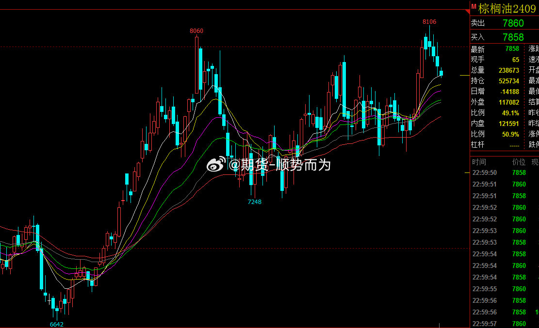 棕櫚期貨最新動(dòng)態(tài)，市場動(dòng)態(tài)、影響因素及未來展望