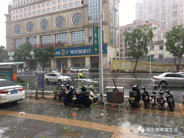 肇慶臺(tái)風(fēng)最新實(shí)況，風(fēng)雨中的堅(jiān)守與應(yīng)對(duì)挑戰(zhàn)