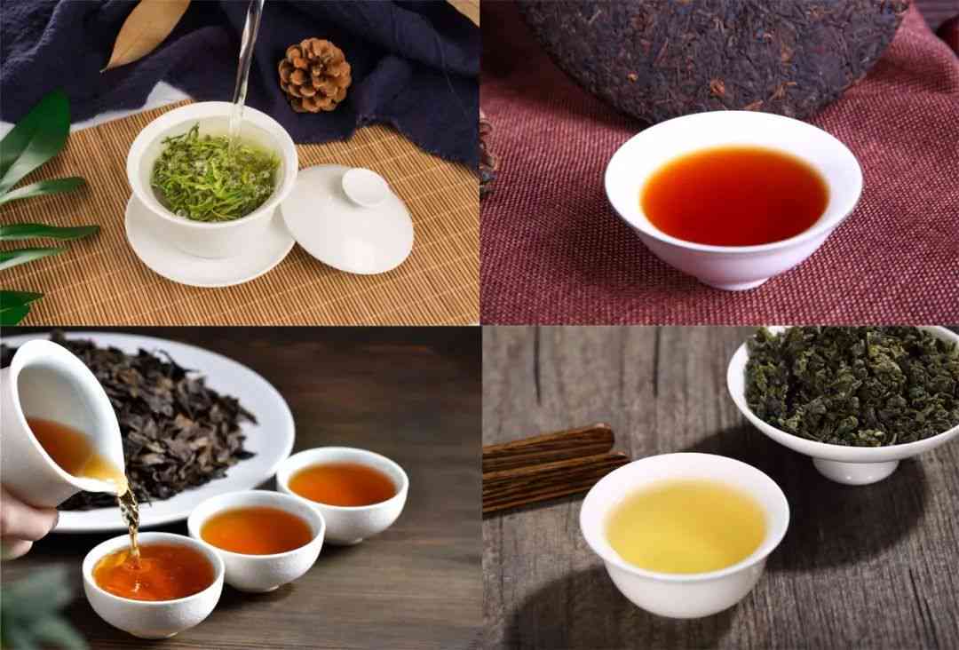 最新茶葉品種探索與品味之旅