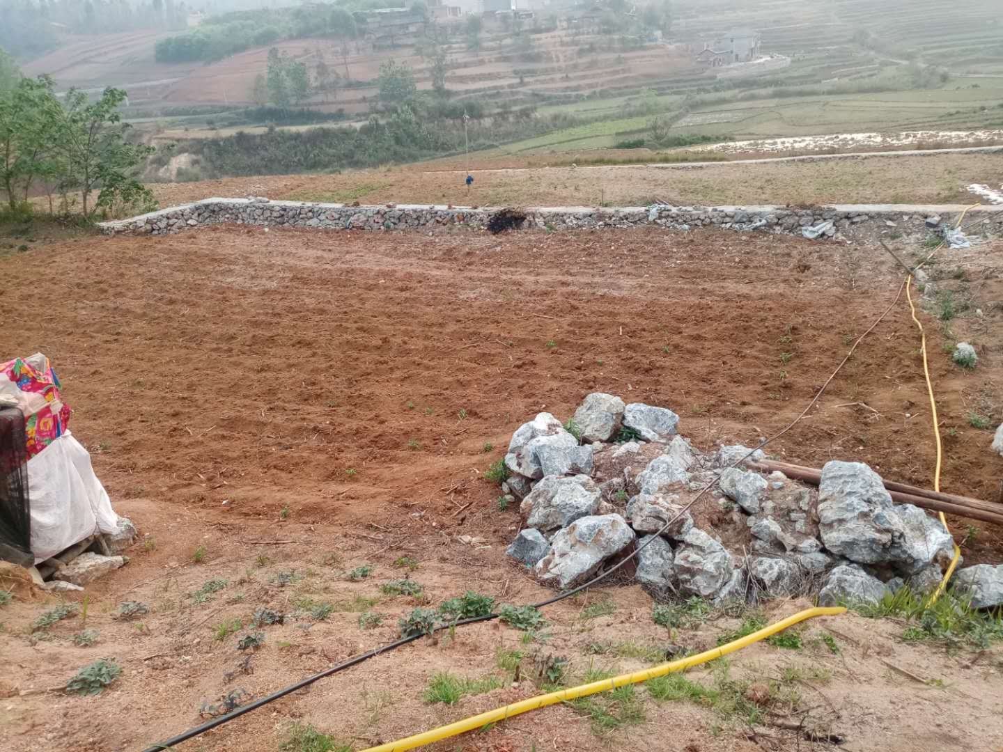 廣南最新地基出售，理想投資置地選擇