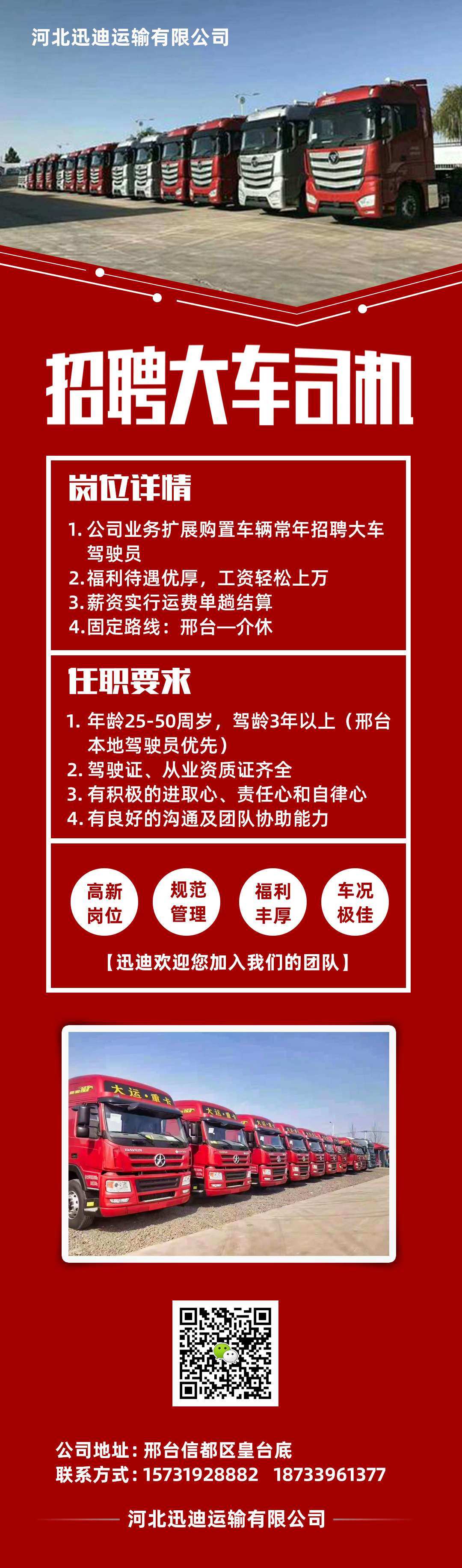 豐城司機(jī)最新招聘動態(tài)與趨勢分析，招聘信息與行業(yè)洞察