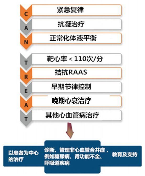 最新房顫指南解析，診療策略與進(jìn)展的全面概覽（2016版）